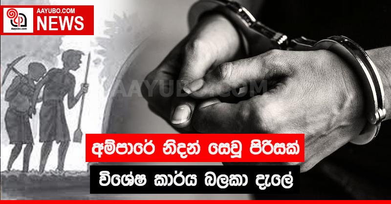 අම්පාරේ නිදන් සෙවූ පිරිසක් විශේෂ කාර්ය බලකා දැලේ