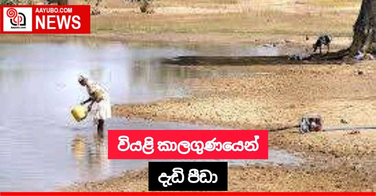 වියළි කාළගුණික තත්ත්වය හේතුවෙන් දැඩි පීඩා