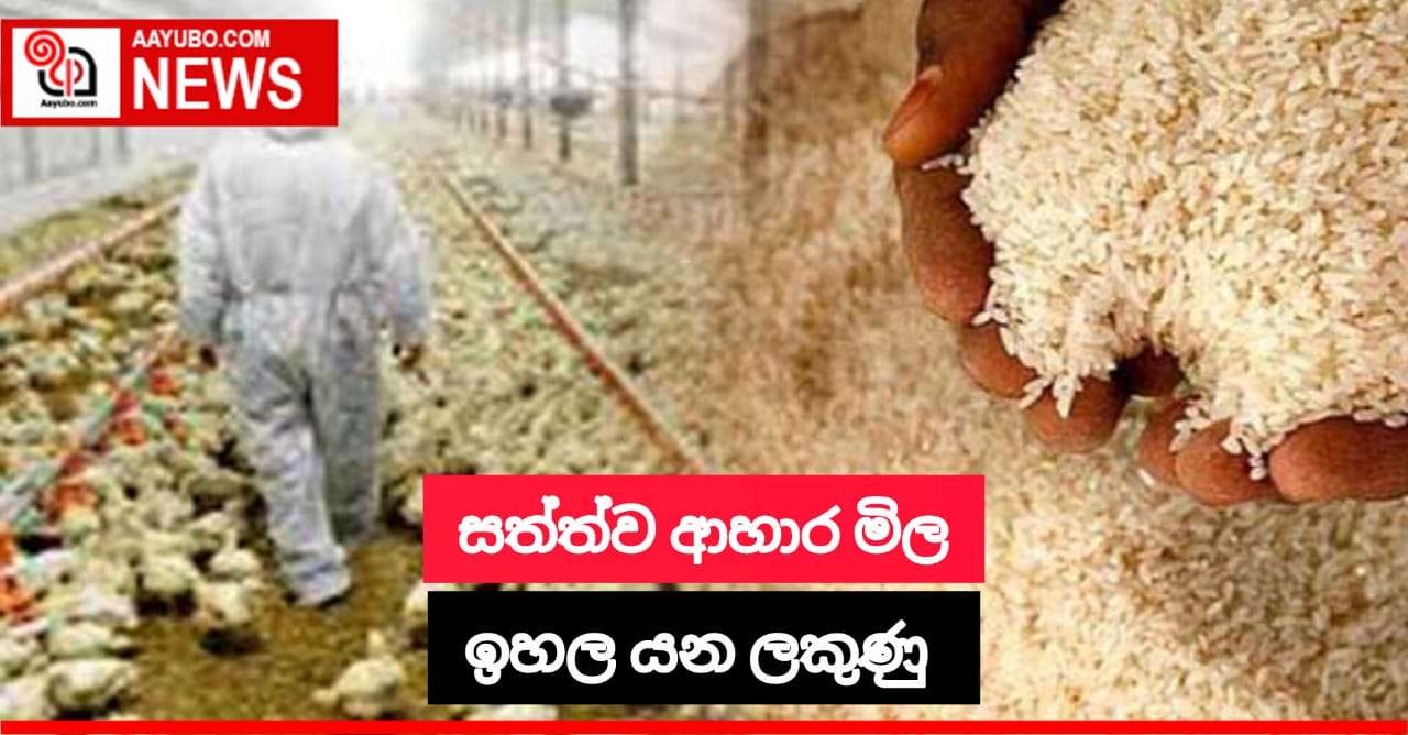 සත්ත්ව ආහාර මිල ඉහළ යන ලකුණු