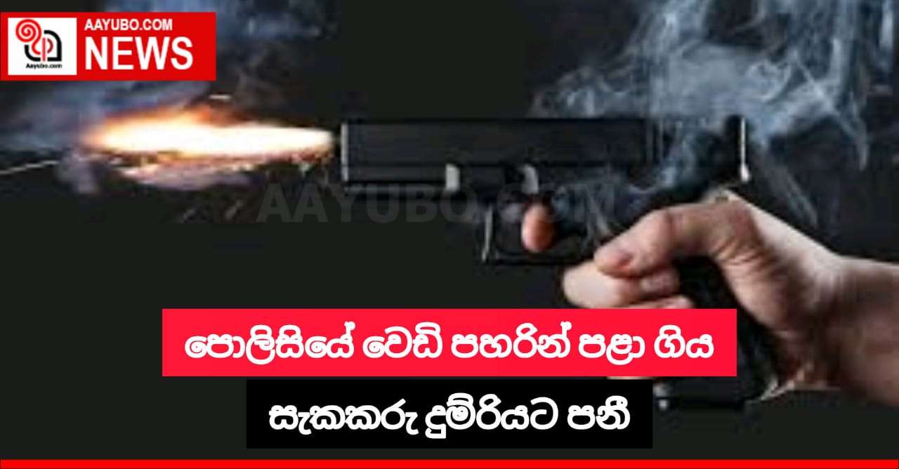 පොලිස් අණ නොතකා ත්‍රීරෝද රථය පැදවූ රියදුරා දුම්රියකට පනී