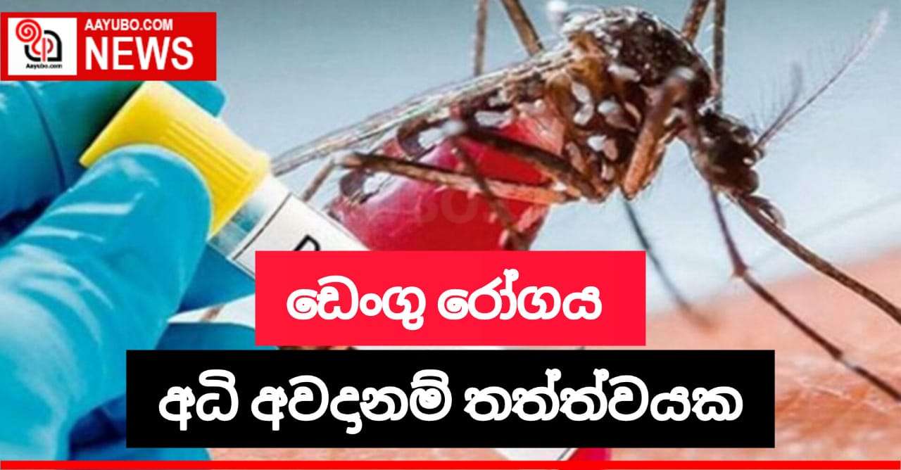 සෞඛ්‍ය වෛද්‍ය කාර්යාල අතරින් 61 ක් ඩෙංගු අධි අවදානම් කලාප වෙයි