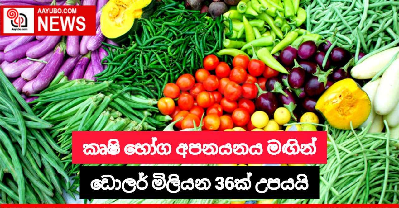 කෘෂි  බෝග අපනයනය මගින් ඩොලර් මිලියන 36ක් උපයයි
