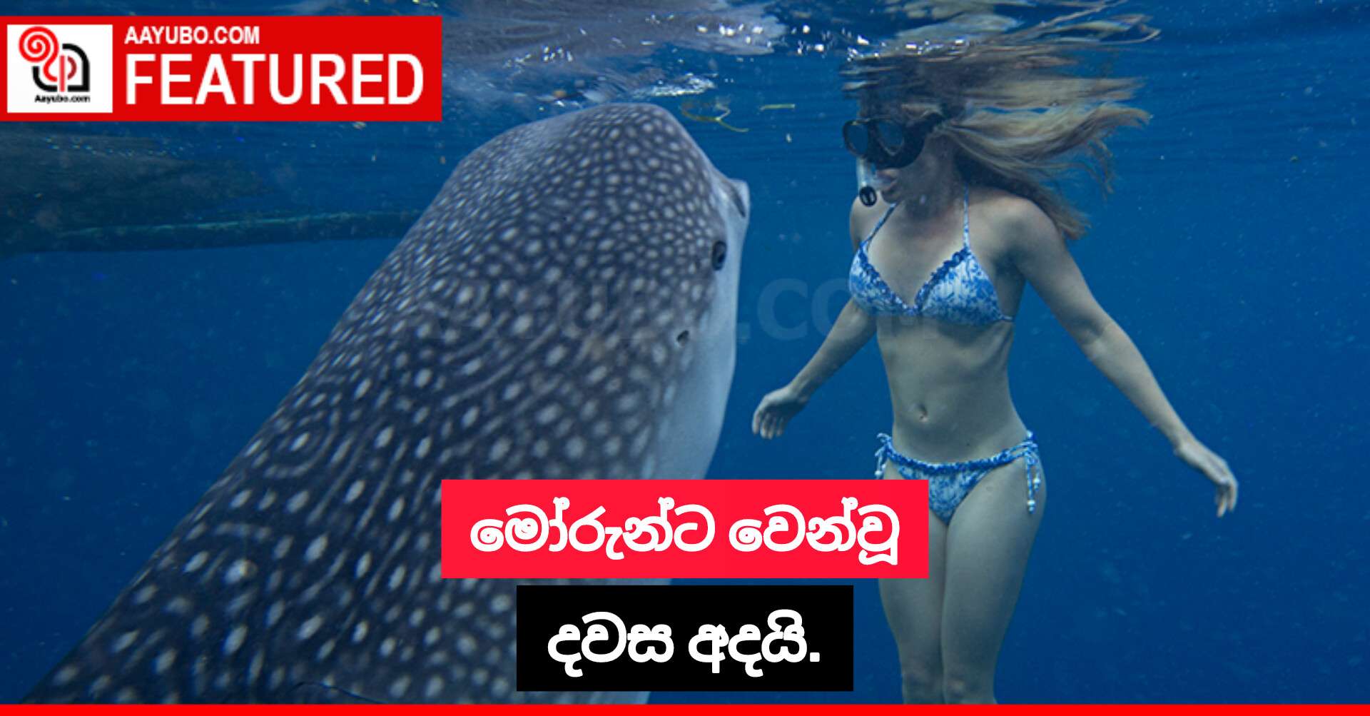 මෝරුන්ට වෙන්වූ දවස අදයි.