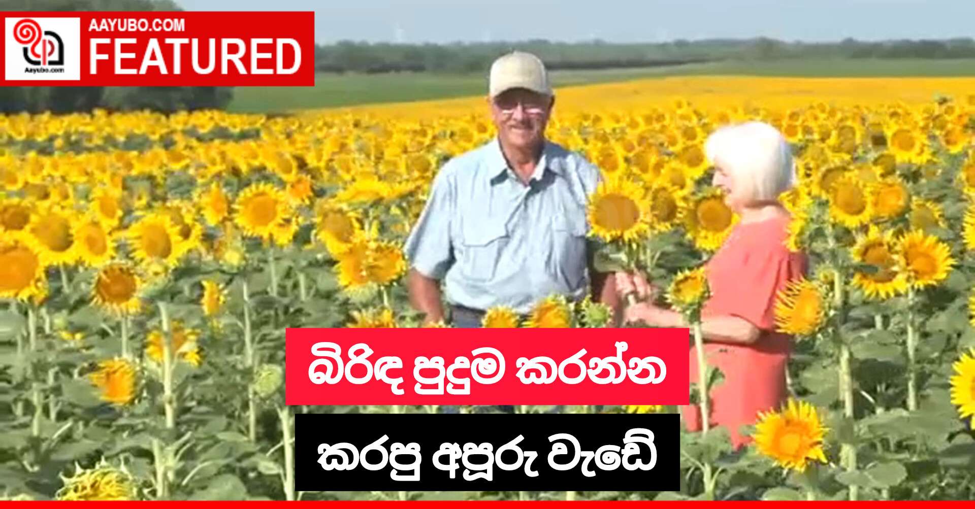 බිරිඳ පුදුම කරන්න කරපු අපූරු වැඩේ