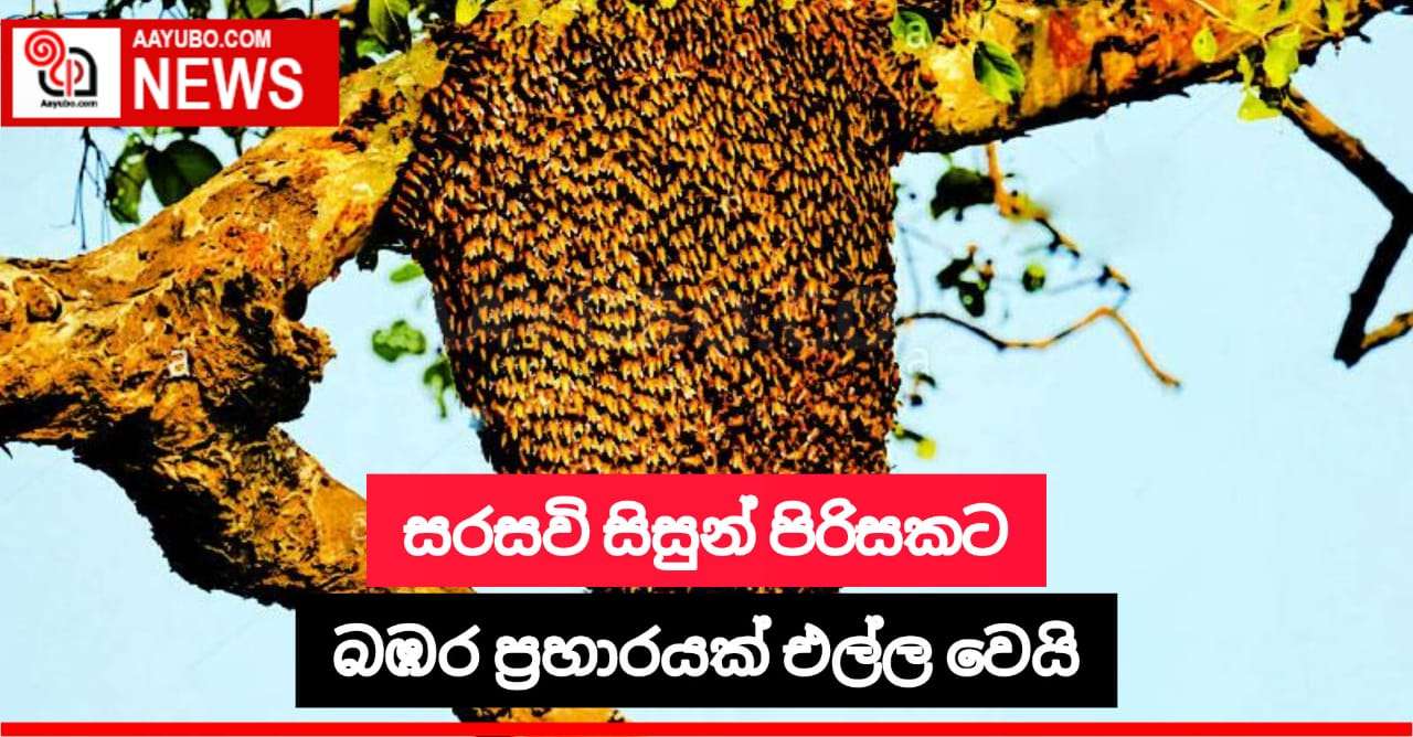 සරසවි සිසුන් පිරිසකට බඹර ප්‍රහාරයක්