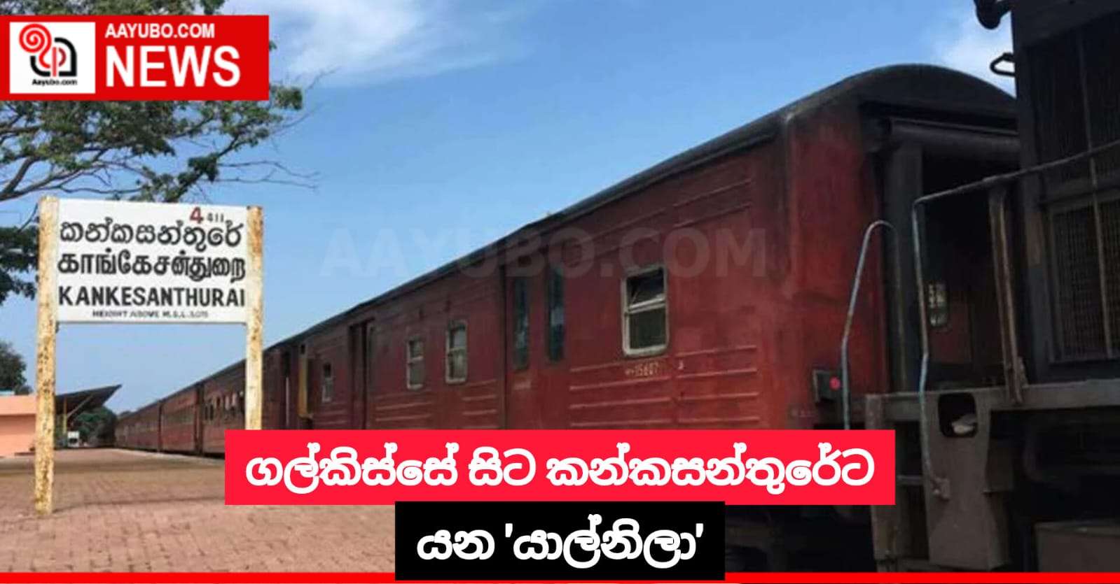ගල්කිස්සේ සිට කන්කසන්තුරේට යන 'යාල්නිලා'