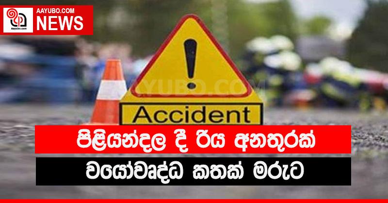 රිය අනතුරකින් වයෝවෘද්ධ කතක් මරුට
