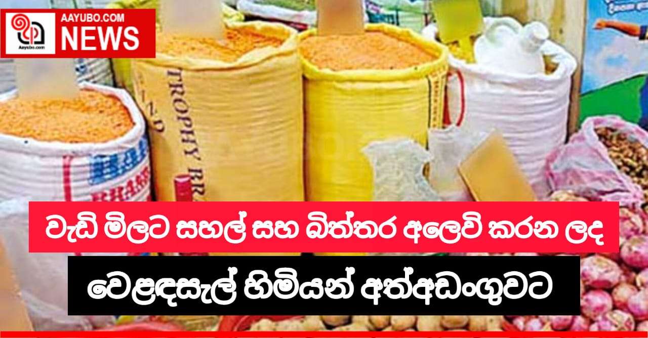 පාරිභෝගික අධිකාරියේ විශේෂ වැටලීමක් අද