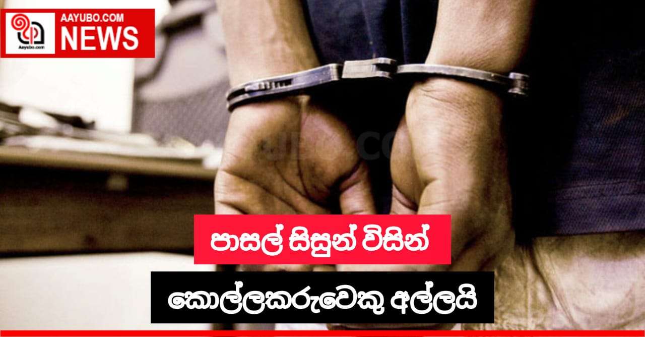 පාසල් සිසුන් විසින් කොල්ලකරුවෙක් අල්ලයි