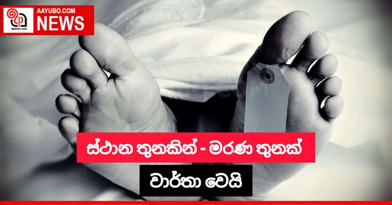 මළසිරුරු තුනක් ගලෙන්බිඳුණුවැව ප්‍රදේශයේ ස්ථාන තුනක තිබී සොයා ගනියි