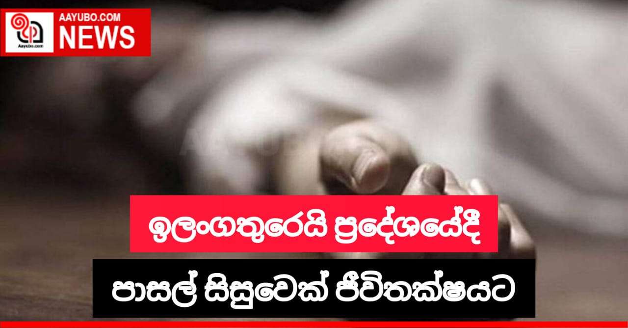 ඉලංගතුරෙයි ප්‍රදේශයේ දී සිදුවු රිය අනතුරකින් පාසල් සිසුවෙක් ජීවිතක්ෂයට