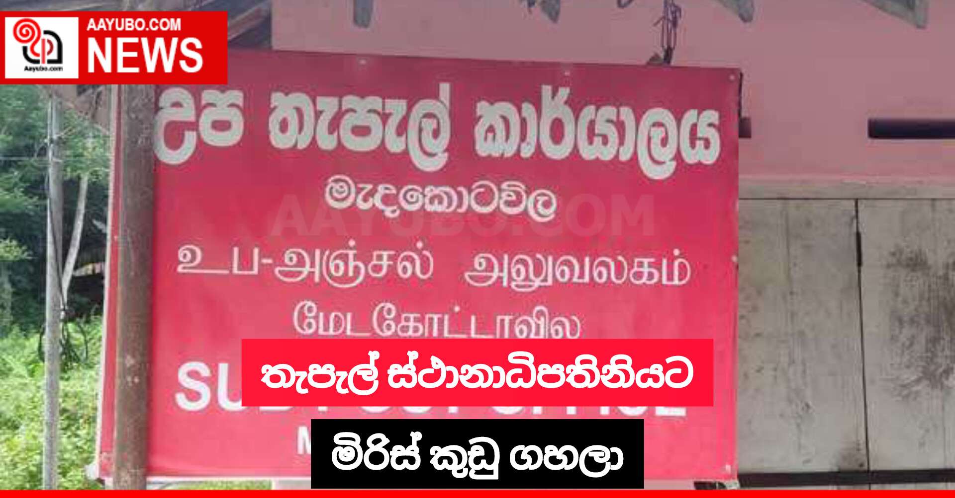 තැපැල් ස්ථානාධිපතිනියට මිරිස් කුඩු ගහලා