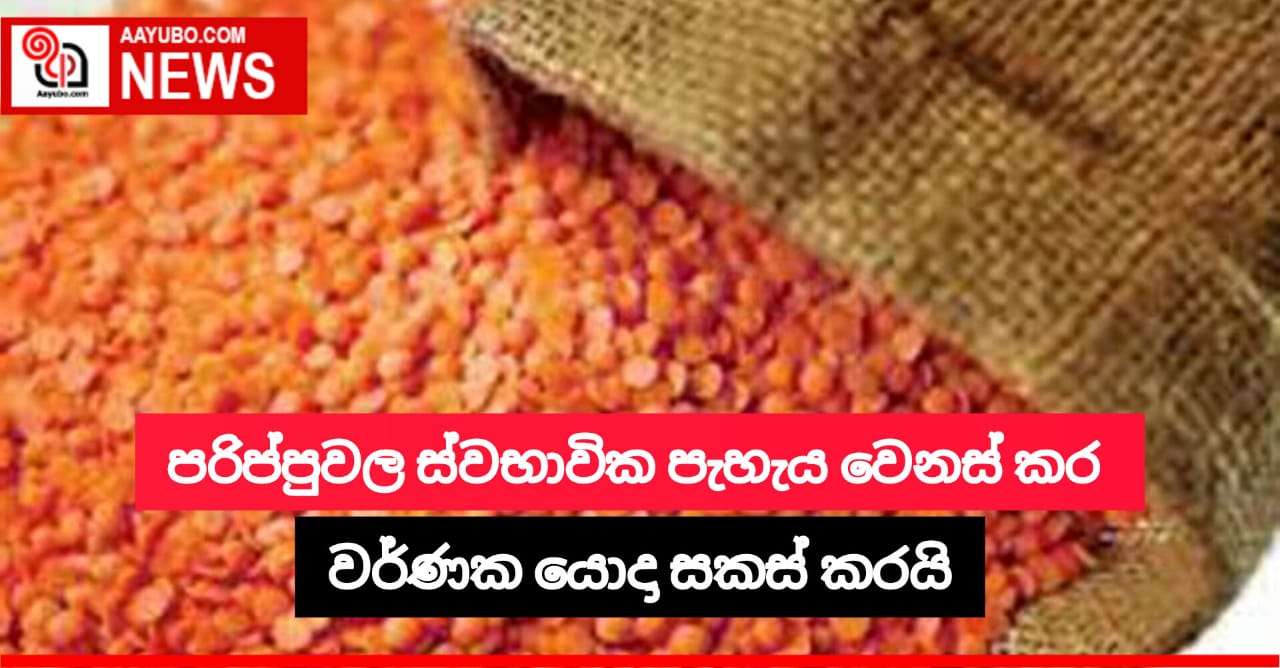 පරිප්පුවලට වර්ණක යොදයි