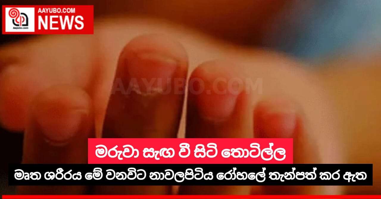 මරුවා සැඟ වී සිටි තොටිල්ල
