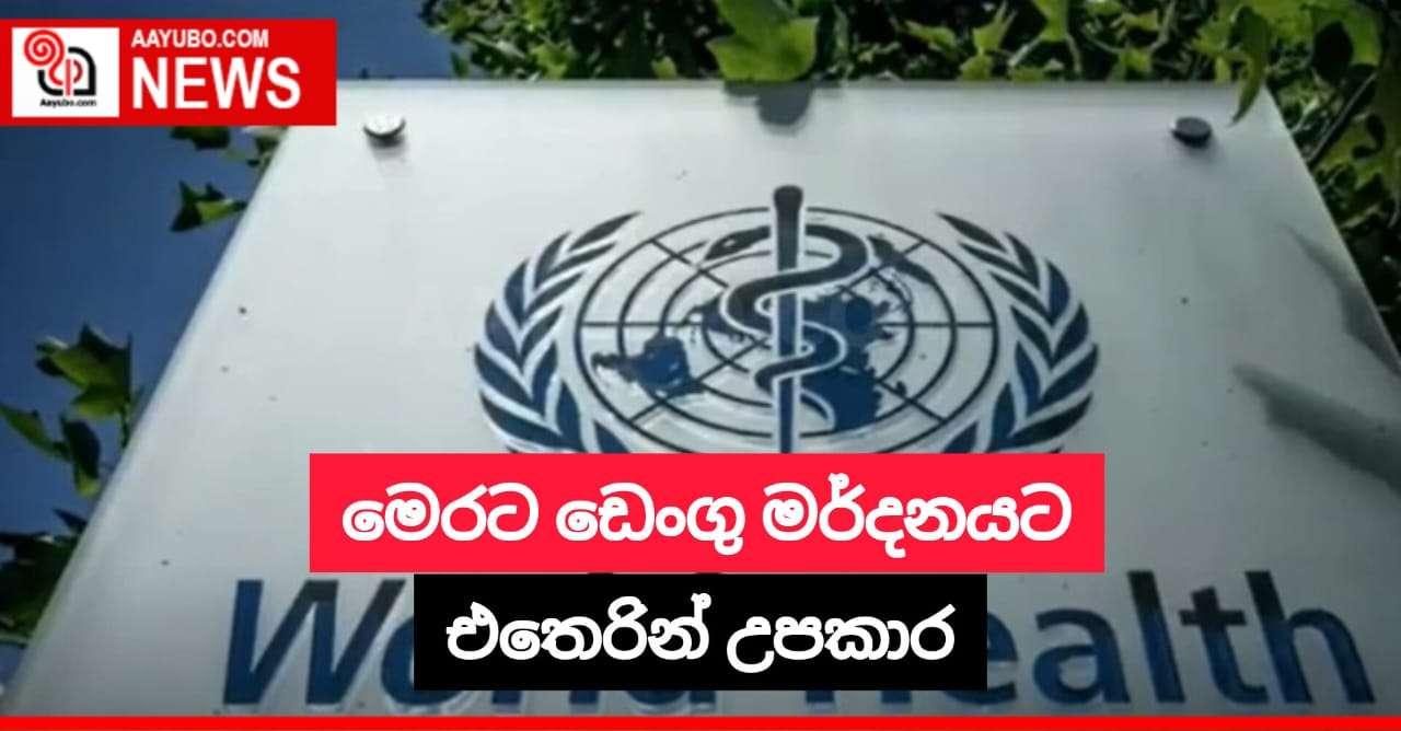 මෙරට ඩෙංගු මර්දනයට එතෙරින් උපකාර