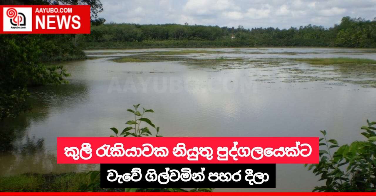 කුලී රැකියාවක නියුතු පුද්ගලයෙක්ට වැවේ ගිල්වමින් පහර දීලා