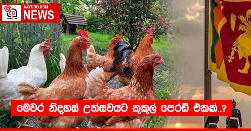 මෙවර නිදහස් උත්සවයට කුකුල් පෙරඩ් එකක්..?