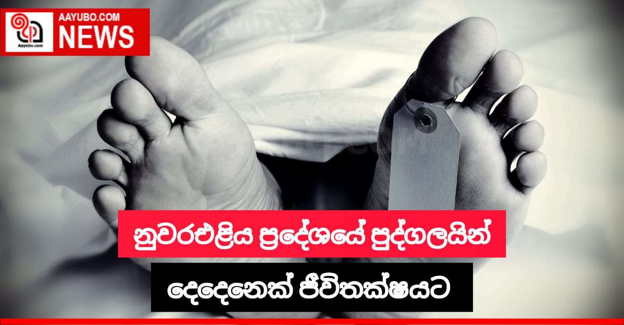 නුවරඑළිය ප්‍රදේශයේ පුද්ගලයින් දෙදෙනෙකු ජීවිතක්ෂයට