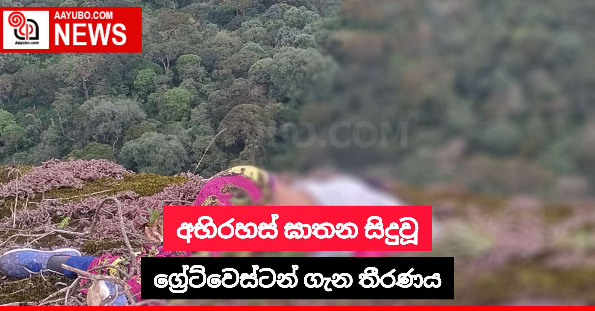 අභිරහස් ඝාතන සිදුවූ ග්‍රේට්වෙස්ටන් ගැන තීරණය