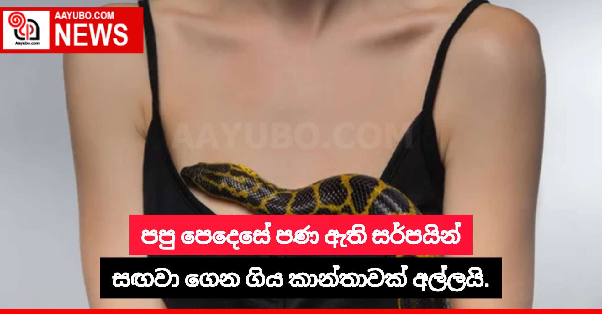 පපු පෙදෙසේ පණ ඇති සර්පයින් සඟවා ගෙන ගිය කාන්තාවක් අල්ලයි.