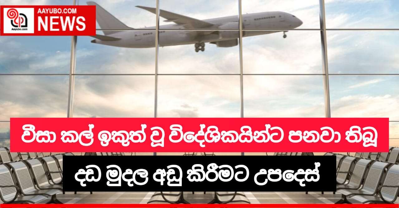  වීසා කාලය ඉක්මවා ඇති විදේශීකයින්ගෙන් වීසා ගාස්තුවලට සහනයක්