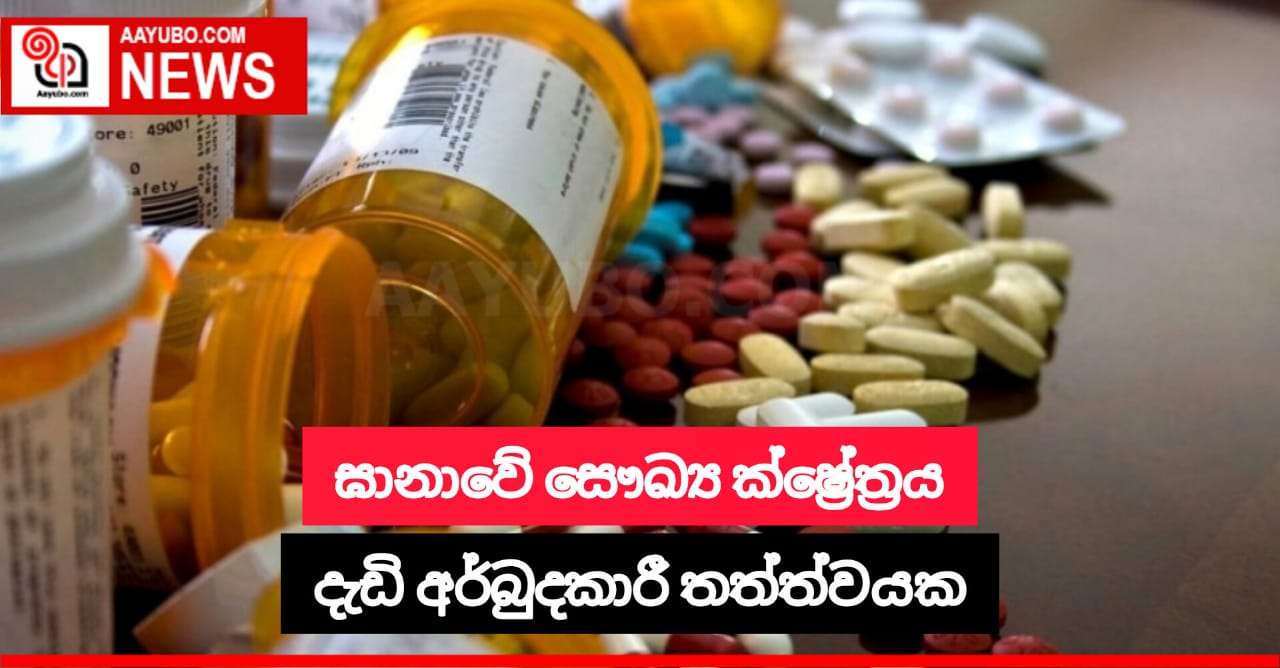 ඝානාවේ හෙදියන් රැකියාව සඳහා බ්‍රිතාන්‍යයට යයි