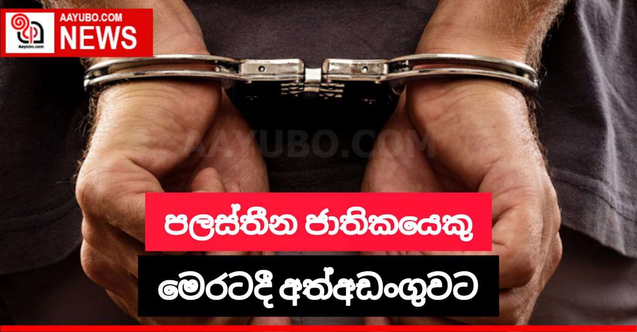 මෙරට රැඳී සිටි පලස්තීන ජාතිකයෙක් අත්අඩංගුවට 
