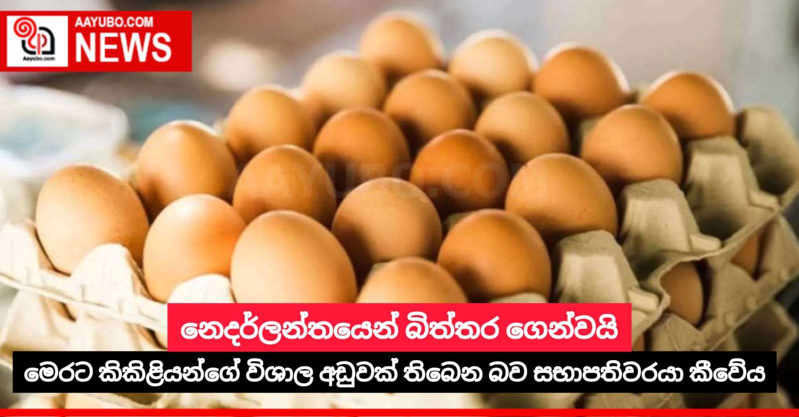 නෙදර්ලන්තයෙන් බිත්තර ගෙන්වයි