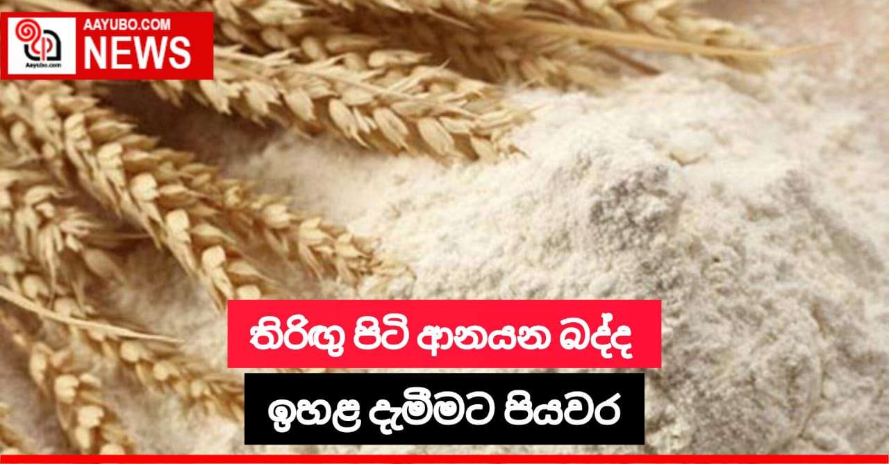 තිරිඟු පිටි ආනයන බද්ද ඉහළ යන ලකුණු