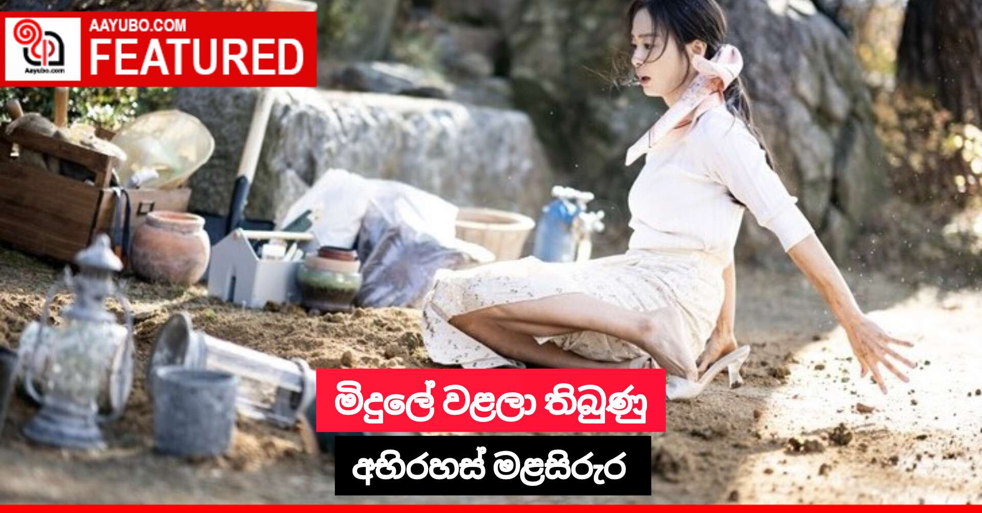 මිදුලේ වළලා තිබුණු අභිරහස් මළසිරුර 