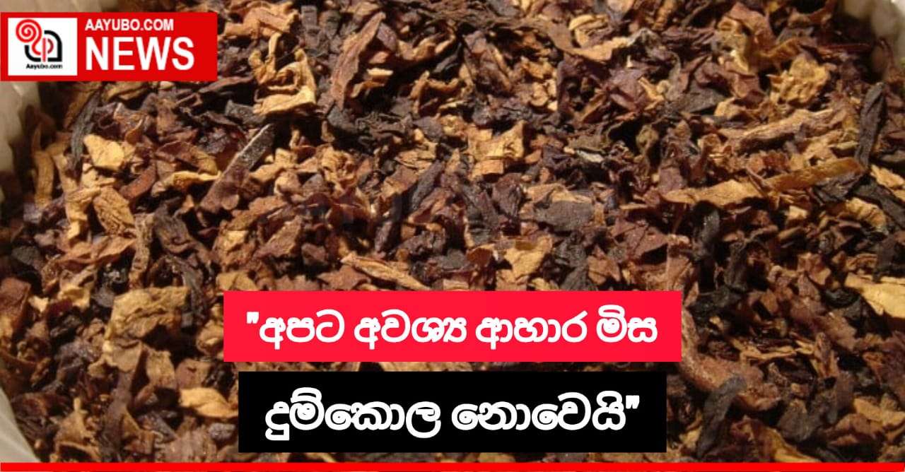 "අපට අවශ්‍ය ආහාර මිස දුම්කොළ නොවේ"