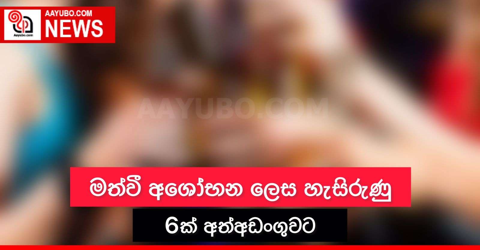 මත්වී අශෝභන ලෙස හැසිරුණු 6ක් අත්අඩංගුවට