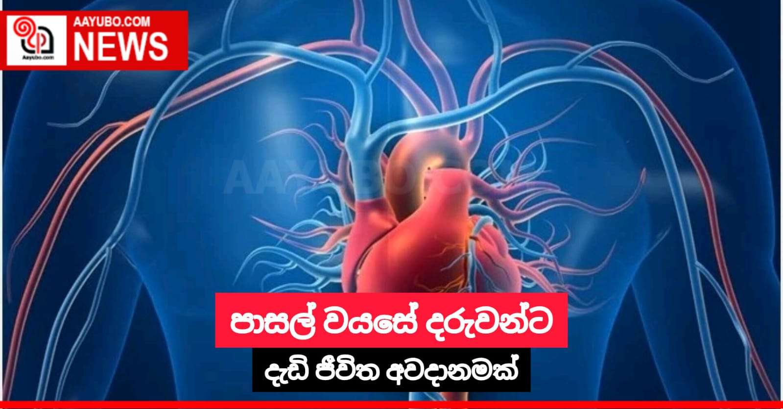 පාසල් වයසේ දරුවන්ට දැඩි ජීවිත අවදානමක්