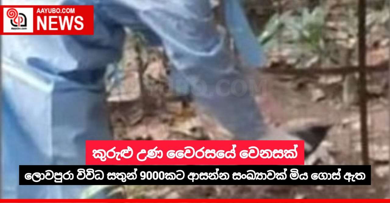 කුරුළු උණ වෛරසයේ වෙනසක්