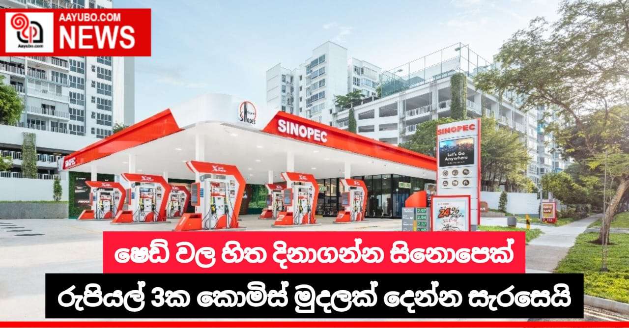 ෂෙඩ් වල හිත දිනාගන්න සිනොපෙක් රුපියල් 3ක කොමිස් මුදලක් දෙන්න සැරසෙයි