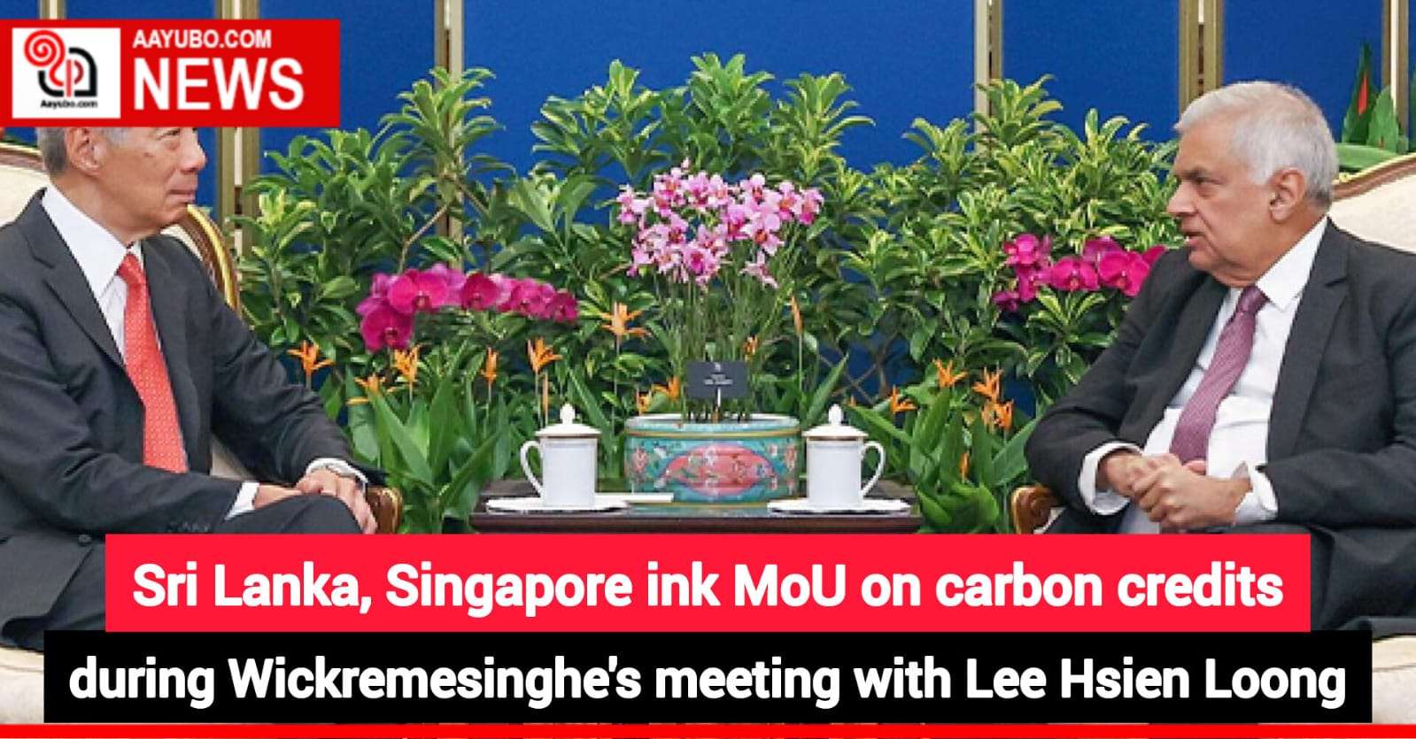 Sri Lanka, Singapore ink MoU on carbon credits during Wickremesinghe's meeting with Lee Hsien Loong
