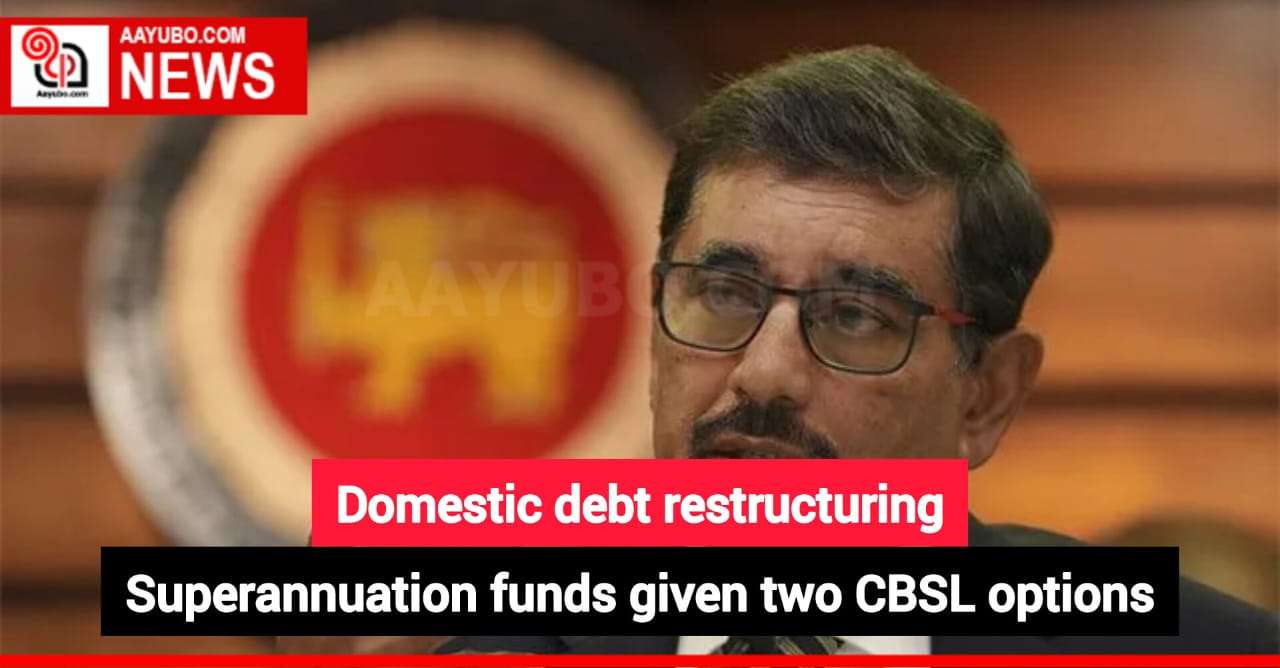 Domestic debt restructuring