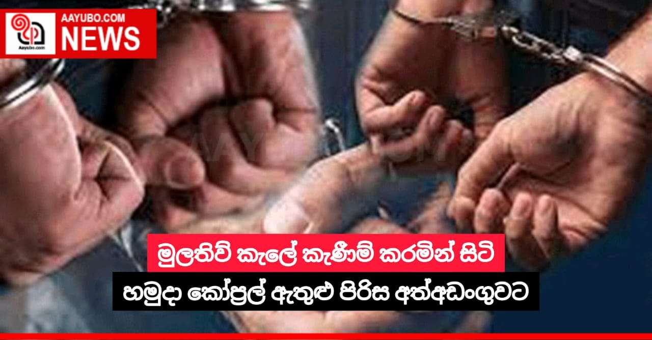 මුලතිව් කැලේ කැණීම් කරමින් සිටි හමුදා කෝප්‍රල් ඇතුළු පිරිස අත්අඩංගුවට