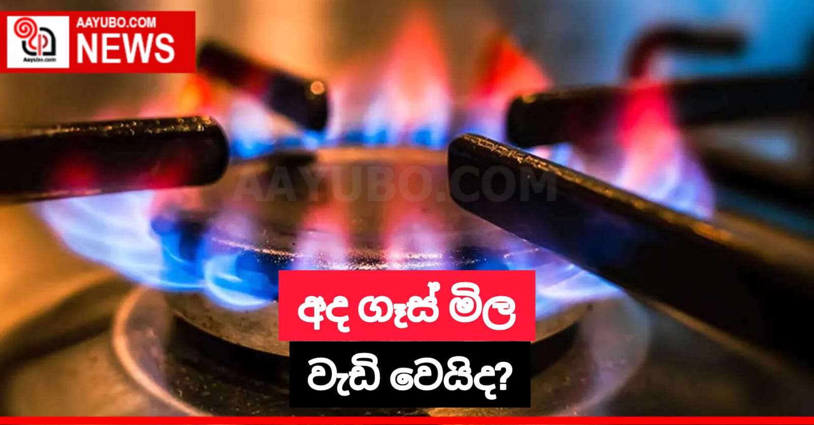 අද ගෑස් මිල වැඩි වෙයිද?