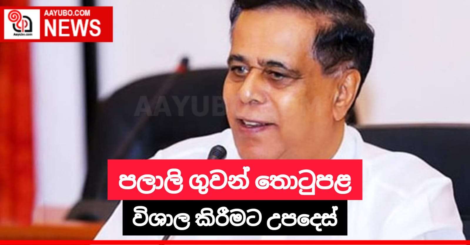 පලාලි ගුවන් තොටුපළ විශාල කිරීමට උපදෙස්
