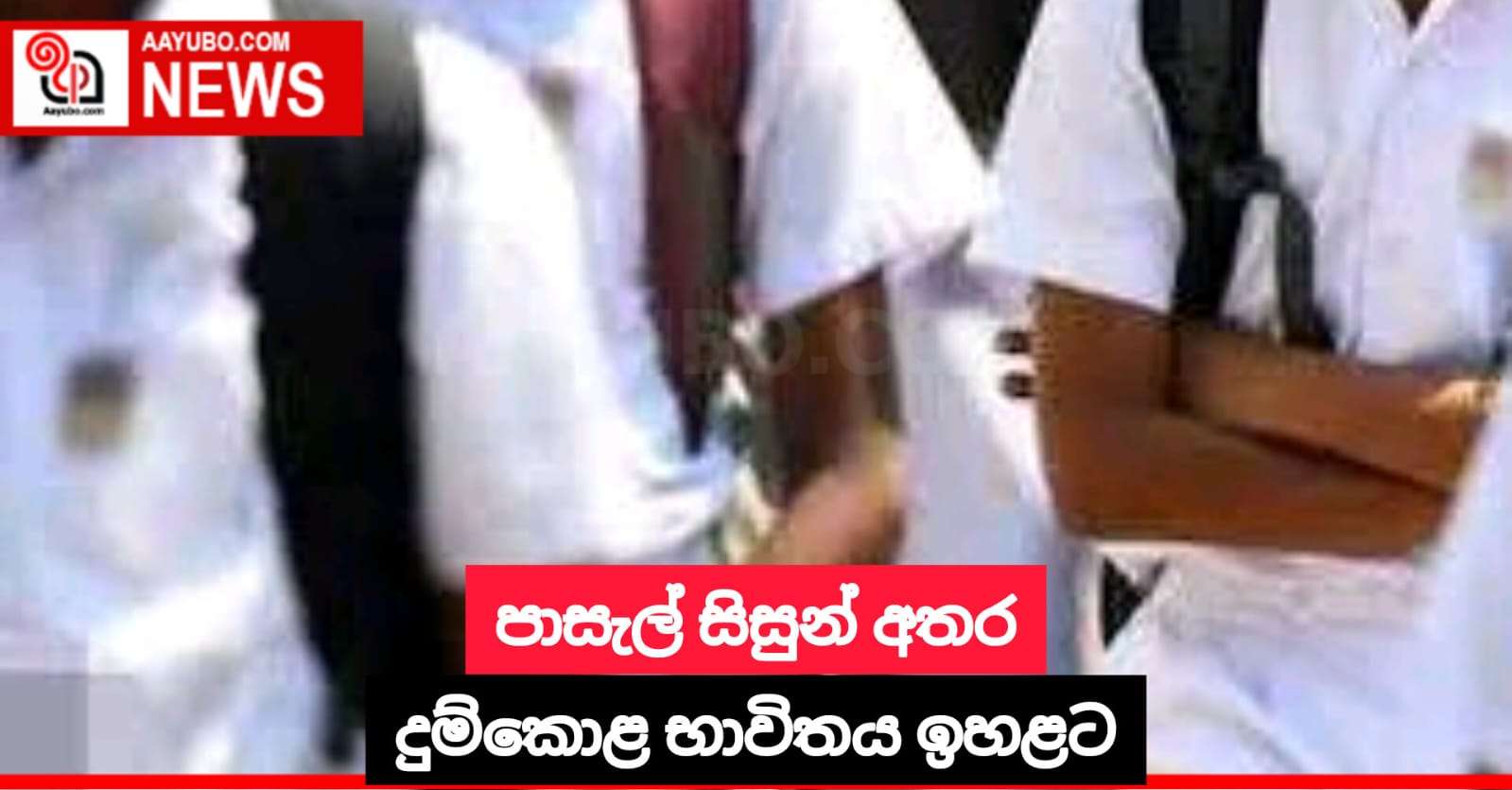 පාසල් සිසුන් අතර දුම්කොළ භාවිතය ඉහළට