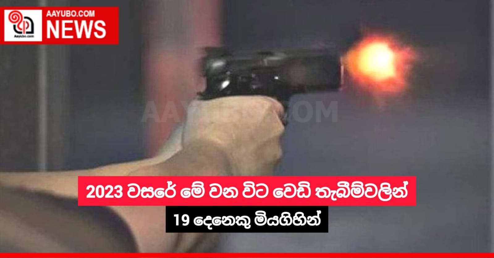 2023 වසරේ මේ වන විට වෙඩි තැබීම්වලින් 19 දෙනෙකු මියගිහින්