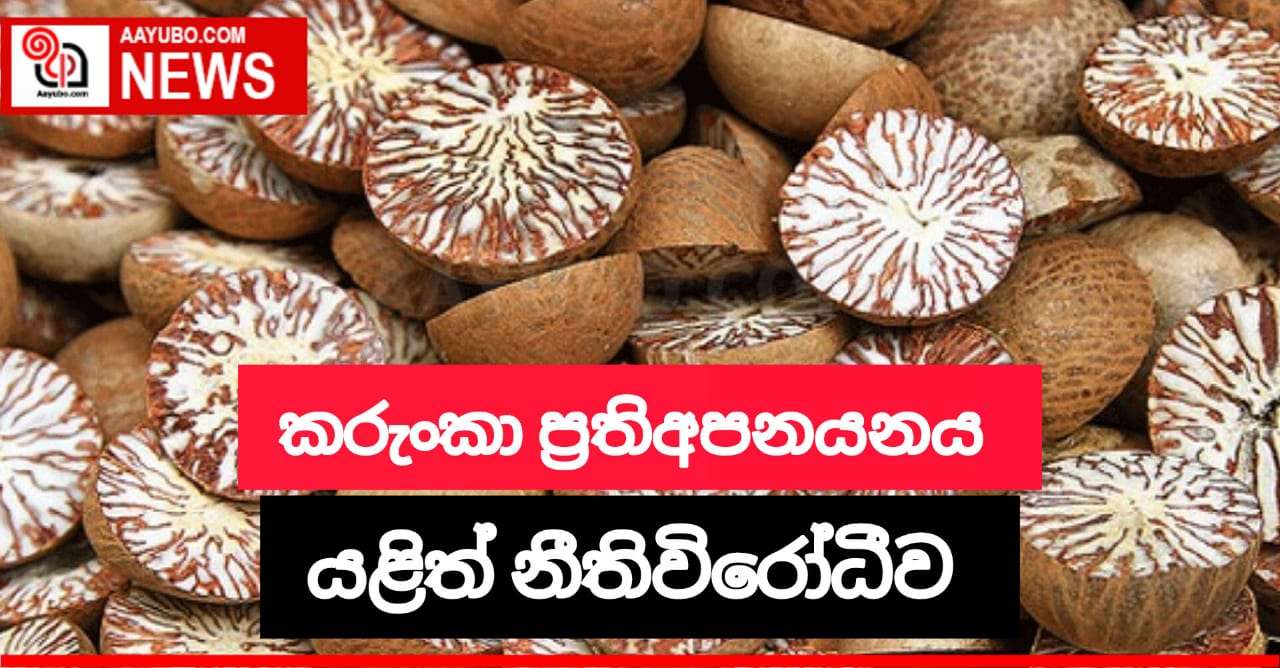 කරුංකා ප්‍රතිඅපනයනය යළිත් නීතිවිරෝධීව