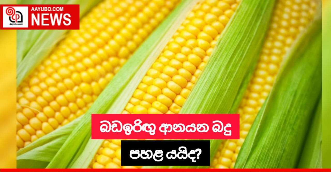 බඩඉරිගු ආනයන බද්ද පහළ යයිද?