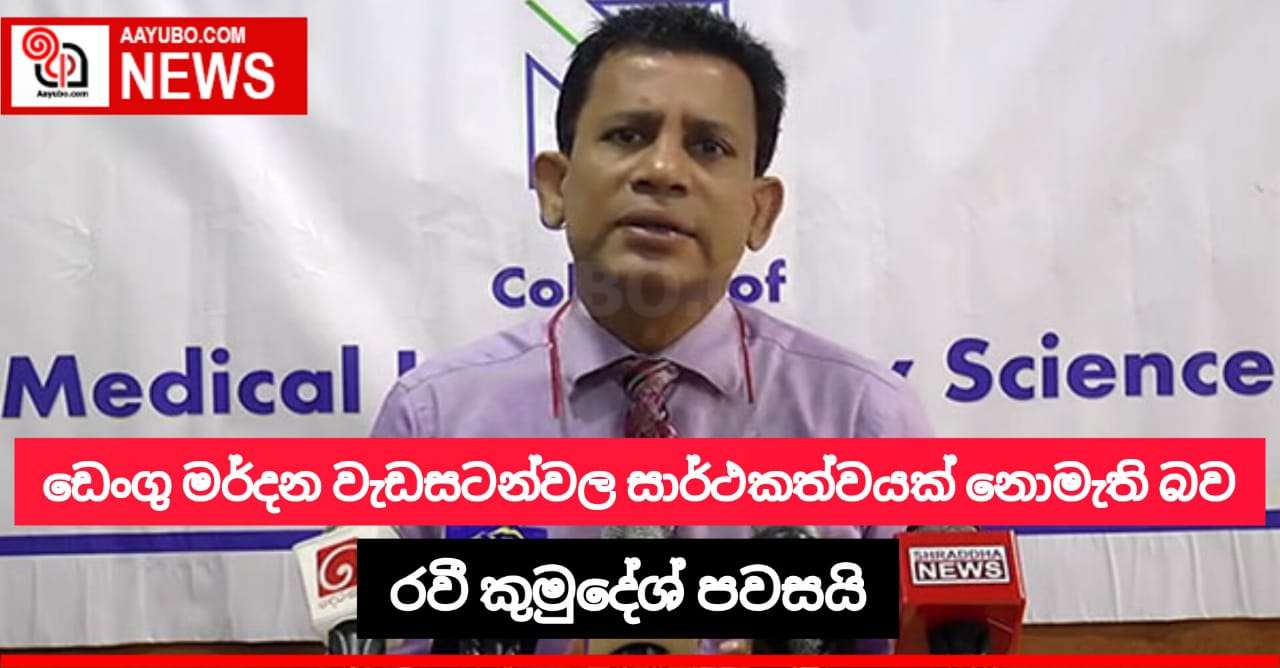 ඩෙංගු මර්දන වැඩසටහන්වල සාර්ථකත්වයක් නොමැති බව රවී කුමුදේශ් පවසයි