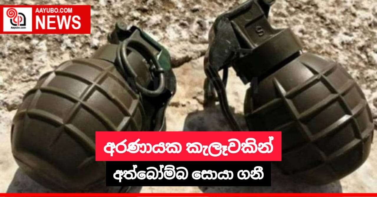 අරණායක කැලෑවකින් අත්බෝම්බ සොයා ගනී