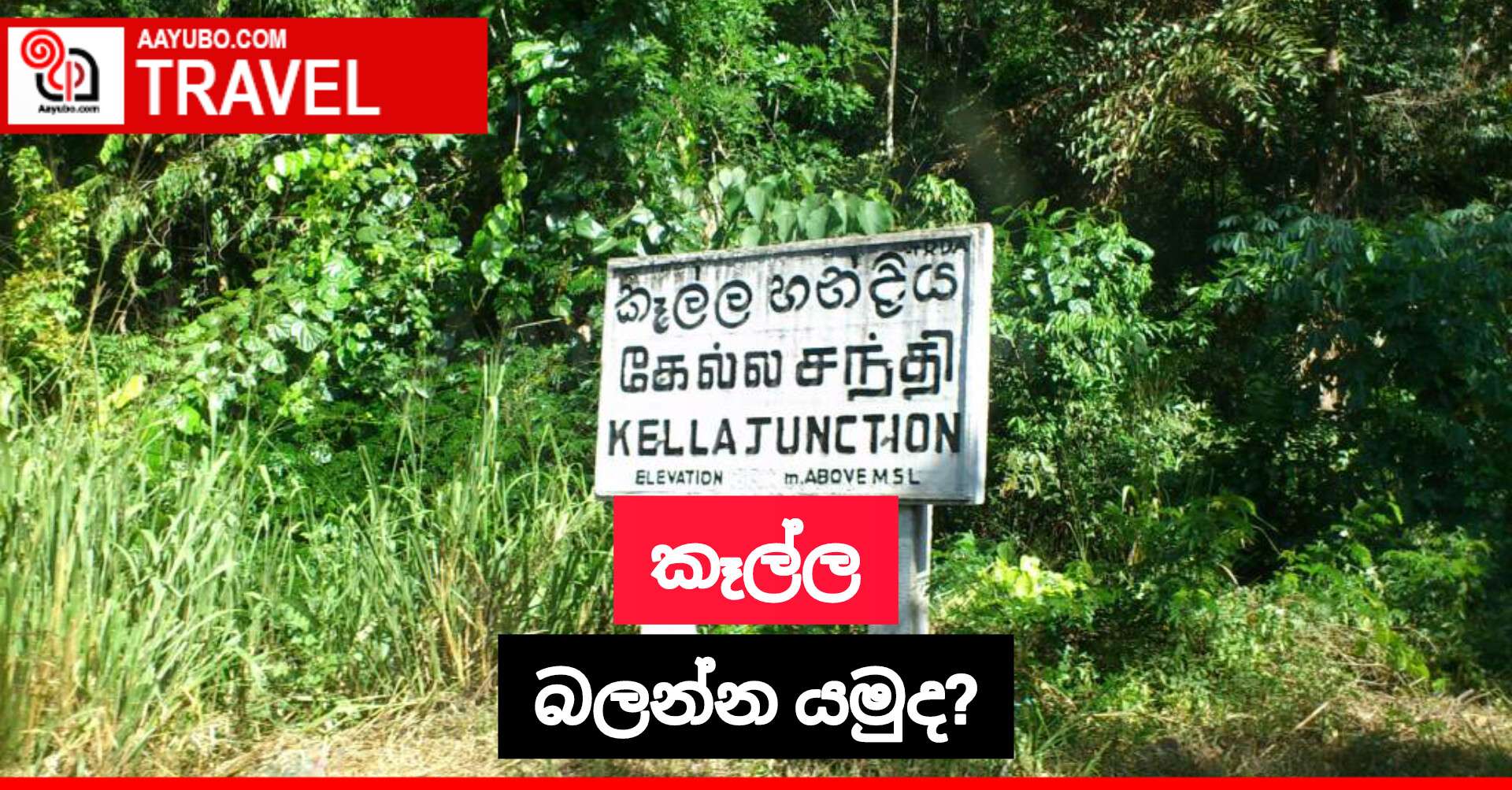 කෑල්ල බලන්න යමුද?