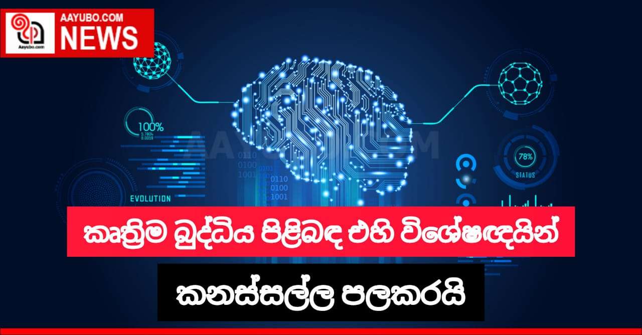 කෘත්‍රිම බුද්ධිය පිළිබඳ එහි විශේෂඥයින් කනස්සල්ල පල කරයි