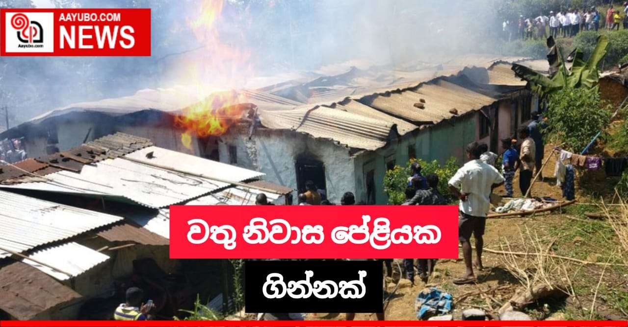 වතු නිවාස පේළියක ගින්නක්