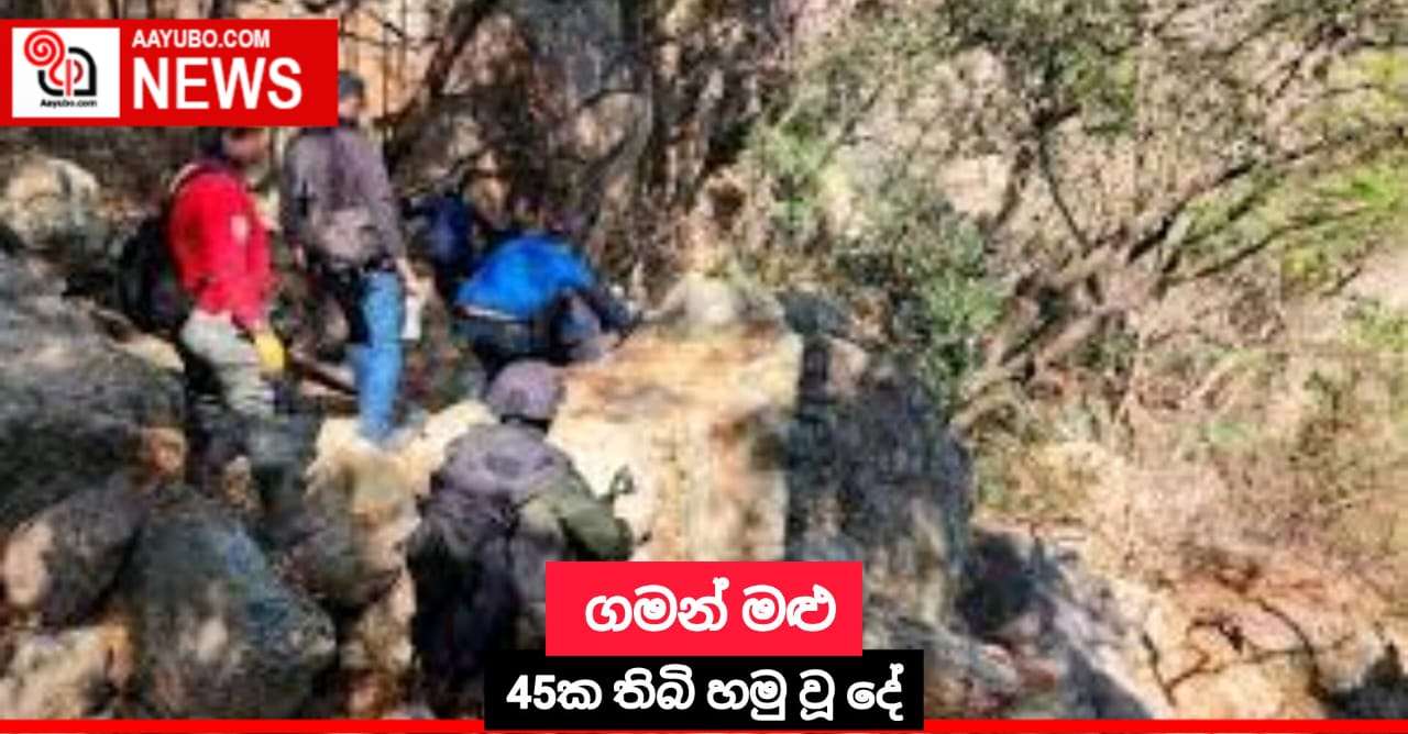 ගමන් මළු 45ක තිබි හමු වූ දේ